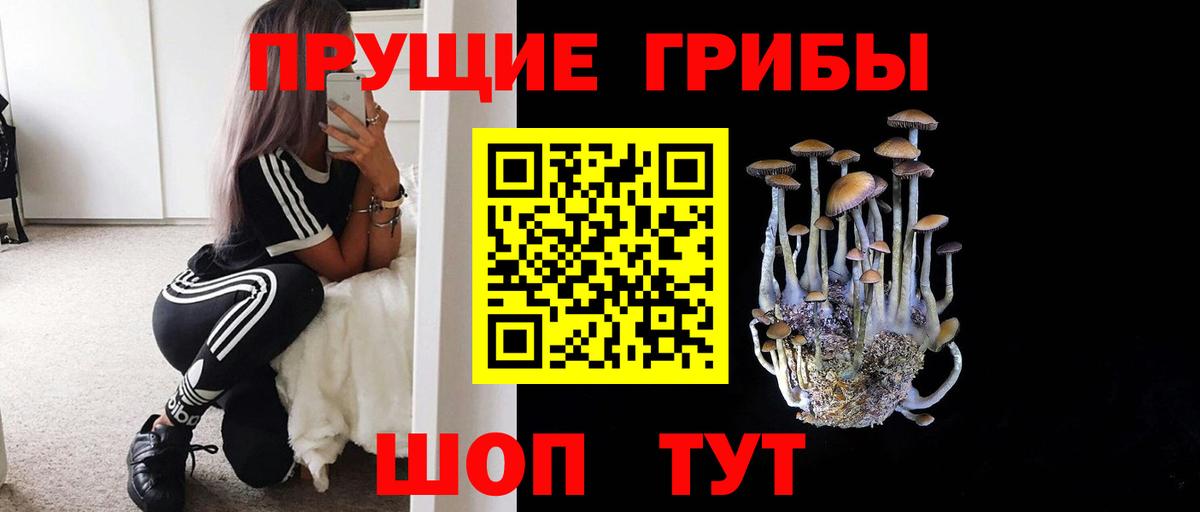 Галлюциногенные грибы прущие грибы  Галлюциногенные грибы MAGIC MUSHROOMS  Вход с VPN  даркнет сайт  Лесной 